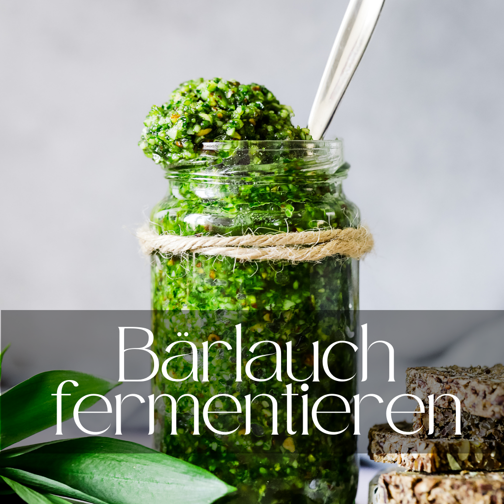 Bärlauch fermentieren